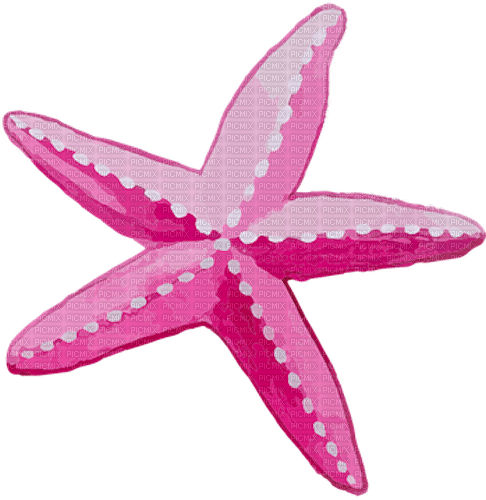 dolceluna summer pink starfish watercolor - 無料png