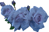 Kaz_Creations Deco Flowers Animated Colours - Ilmainen animoitu GIF