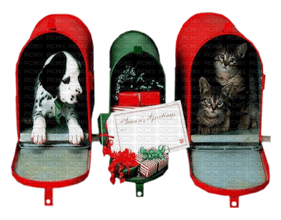 loly33 chat chien noël - png gratis