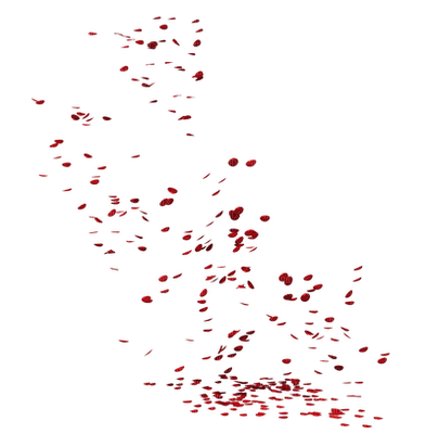 petals anastasia - nemokama png