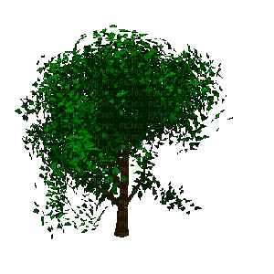 ağaç - GIF เคลื่อนไหวฟรี