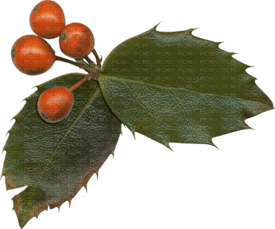 Kaz_Creations Deco Autumn  Colours - PNG gratuit