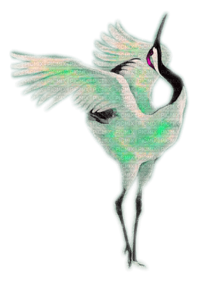 Birds - ücretsiz png