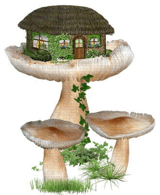 fairy house bp - ücretsiz png