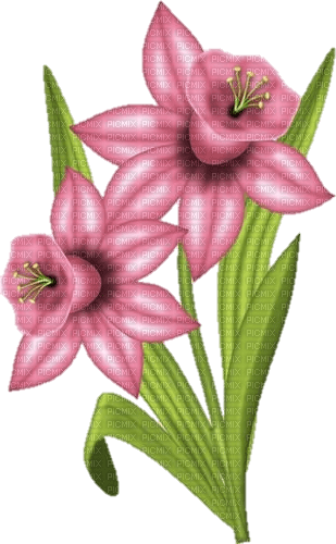flowers - nemokama png