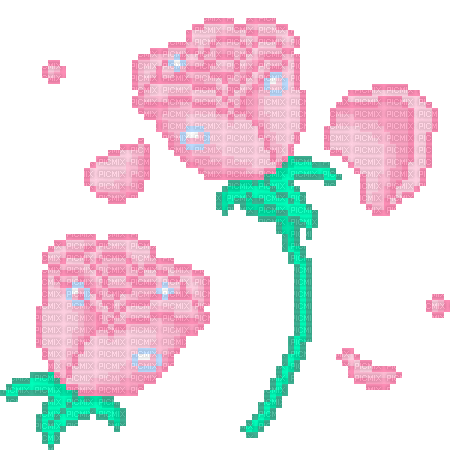 Pink Roses(Unknown Credits) - GIF animé gratuit