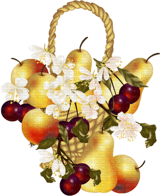 fruit basket bp - δωρεάν png