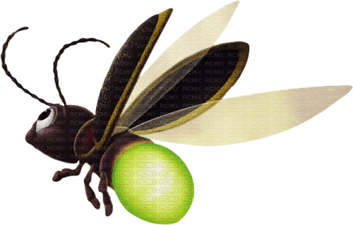 Firefly.Luciole.Luciérnaga.Victoriabea - Free PNG