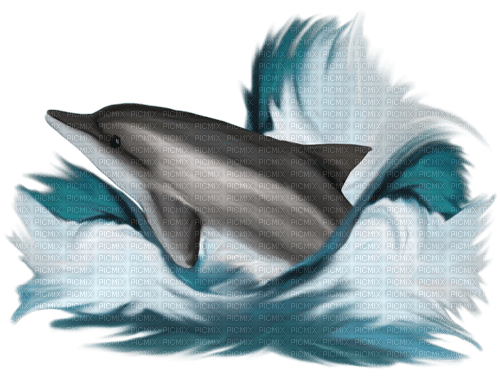 dolceluna summer dolphin - Free PNG