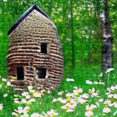 Beehive Home in the Forest - besplatni png