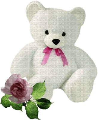 Kaz_Creations Cute Teddy - gratis png