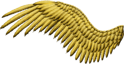 wings katrin - png grátis