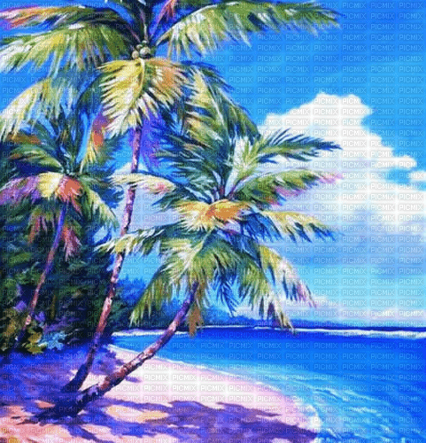 Rena Hintergrund Meer Palmen - ilmainen png