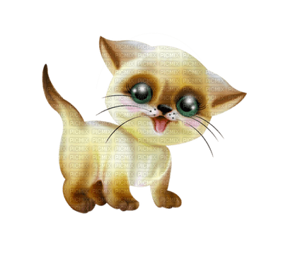 Kaz_Creations Animals Animal Cats Cat Kitten - zadarmo png