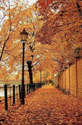 Paysage.Autumn.Victoriabea - 免费PNG