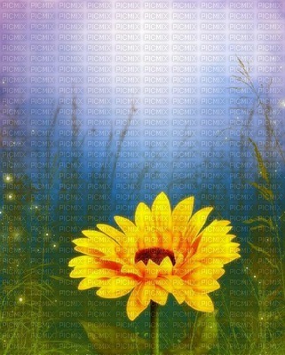 image encre couleur paysage fleurs tournesol printemps edited by me - безплатен png