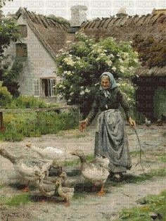 Grandma's ducks - фрее пнг