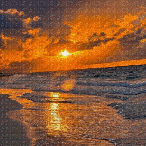 ocean.sunset.water.beach.sand.sun.bg.gif.horizon - Бесплатни анимирани ГИФ