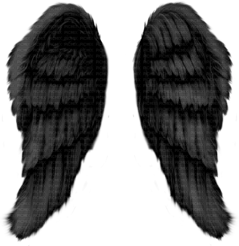 kikkapink gothic wings black - Free PNG