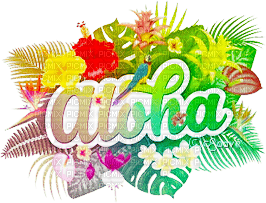 soave text summer  deco flowers tropical - δωρεάν png