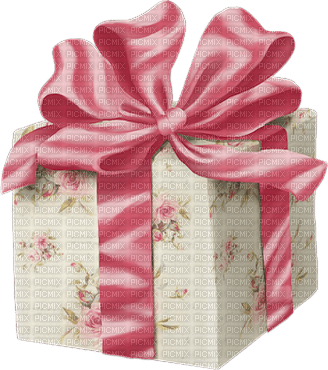 Pink.Gift.Cadeau.Regalo.Victoriabea - PNG gratuit