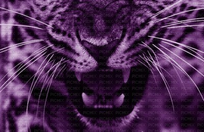Purple leopard - png grátis