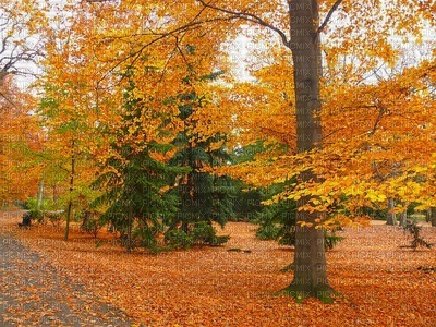 syksy  autumn  landscape  maisema - kostenlos png