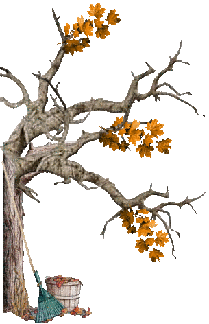 Herbst - 無料のアニメーション GIF