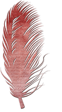 höyhen sulka feather sisustus decor - фрее пнг