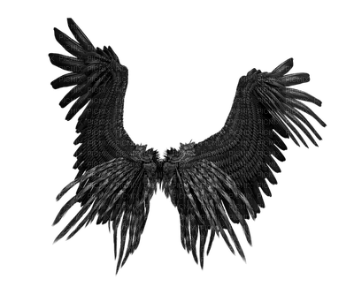 wings, siivet - png gratis