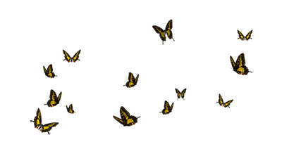 Kaz_Creations Deco Butterflies Butterfly Colours - png ฟรี