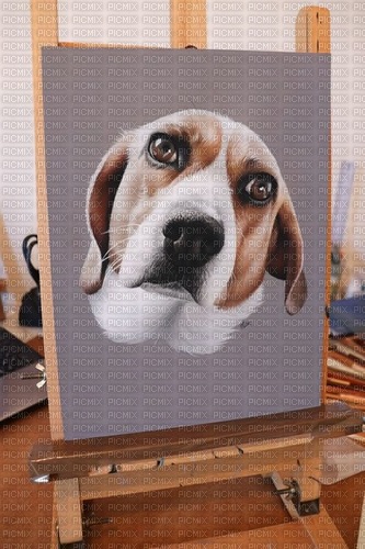 maj beagle - δωρεάν png