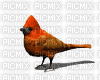 Animated Cardinal 2 - GIF animado gratis