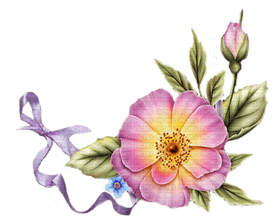 fleur Pelageya gif animation rose - zdarma png