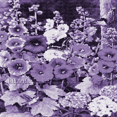 Y.A.M._summer landscape background flowers purple - Бесплатный анимированный гифка