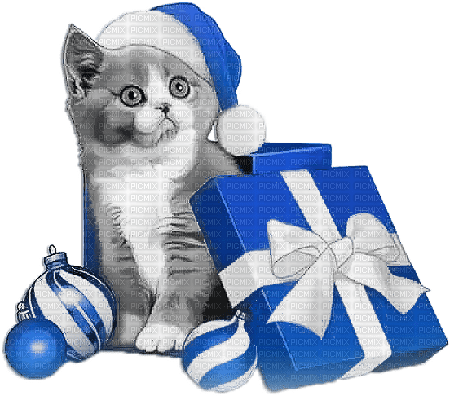 soave animals cat christmas winter gift box - zdarma png