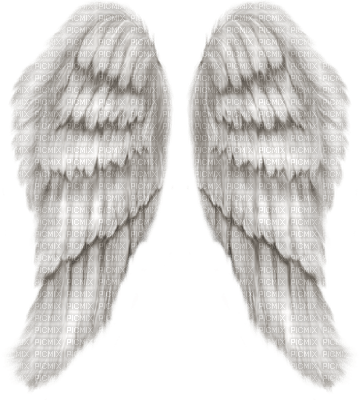 Kaz_Creations Angel Wings - gratis png