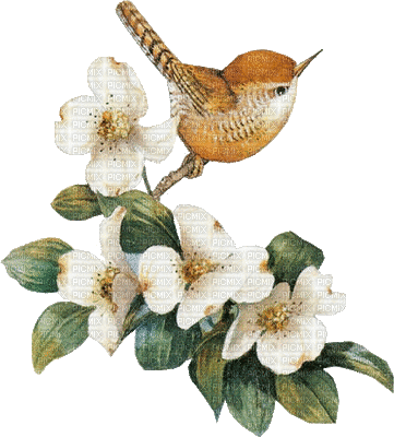 Kaz_Creations Bird Flowers - Ingyenes animált GIF