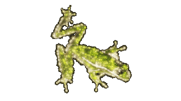 very sparkly pulsating wall frog - Free animated GIF