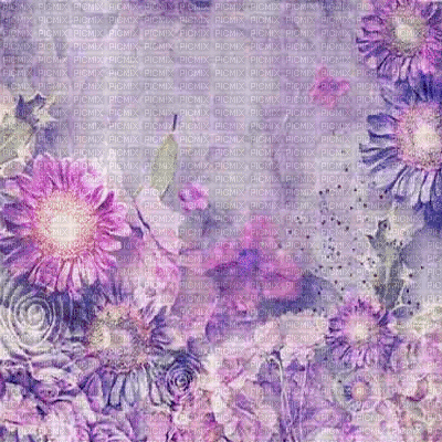 purple background (created with gimp) - Bezmaksas animēts GIF
