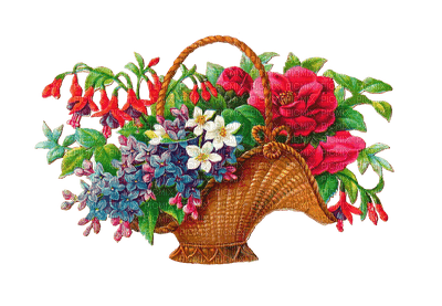 summer flowers - 免费PNG
