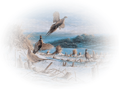 Kaz_Creations Paysage Scenery Birds - Free PNG