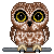 bird-owl-NitsaPap - Nemokamas animacinis gif