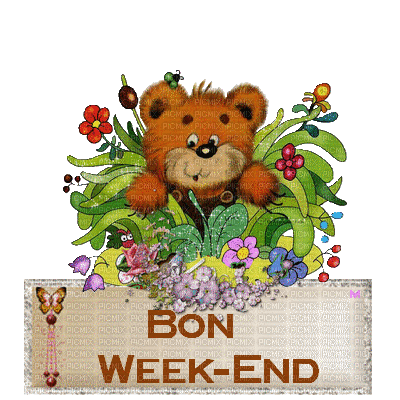 bon week-end - Δωρεάν κινούμενο GIF