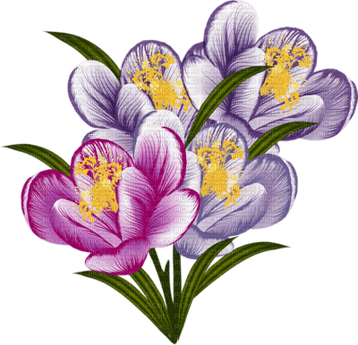 Kaz_Creations Deco Flowers Flower Purple Pink - png ฟรี