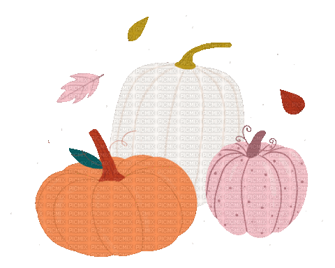 Pumpkins - Bezmaksas animēts GIF