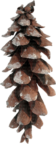 Pine cone.Deco.Christmas.Noël.Victoriabea - PNG gratuit
