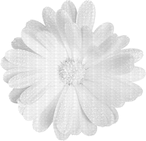 Flower.White - gratis png