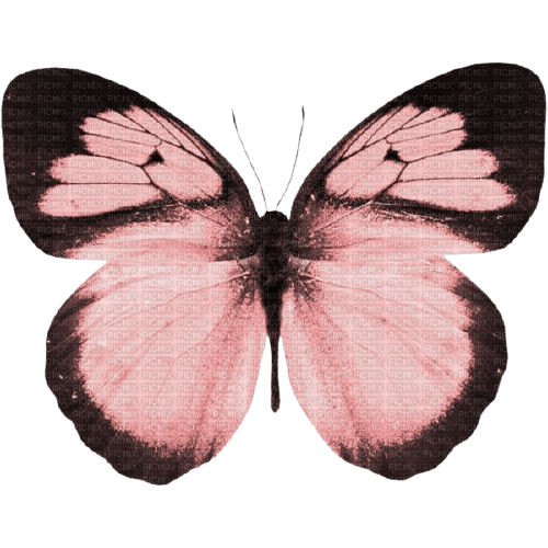 dark-pink butterfly - png gratis