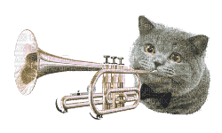 Kaz_Creations Funny Animated Cat Playing Trumpet - Gratis geanimeerde GIF